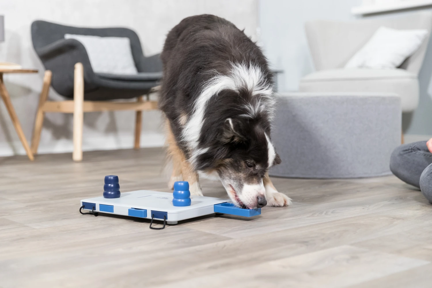 Trixie Jeu De Stratégie Pour Chien Move2win 34 X 23 Cm – Image 8