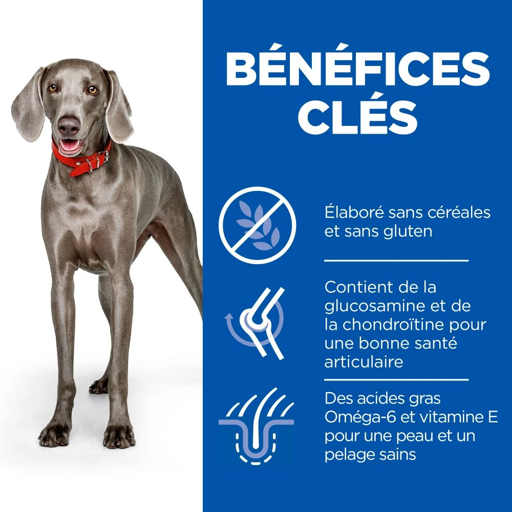 Hill's Science Plan Adult No Grain Large Breed Croquettes Sans Céréales Pour Chien Adulte De Grande Race Au Poulet - 14Kg – Image 4