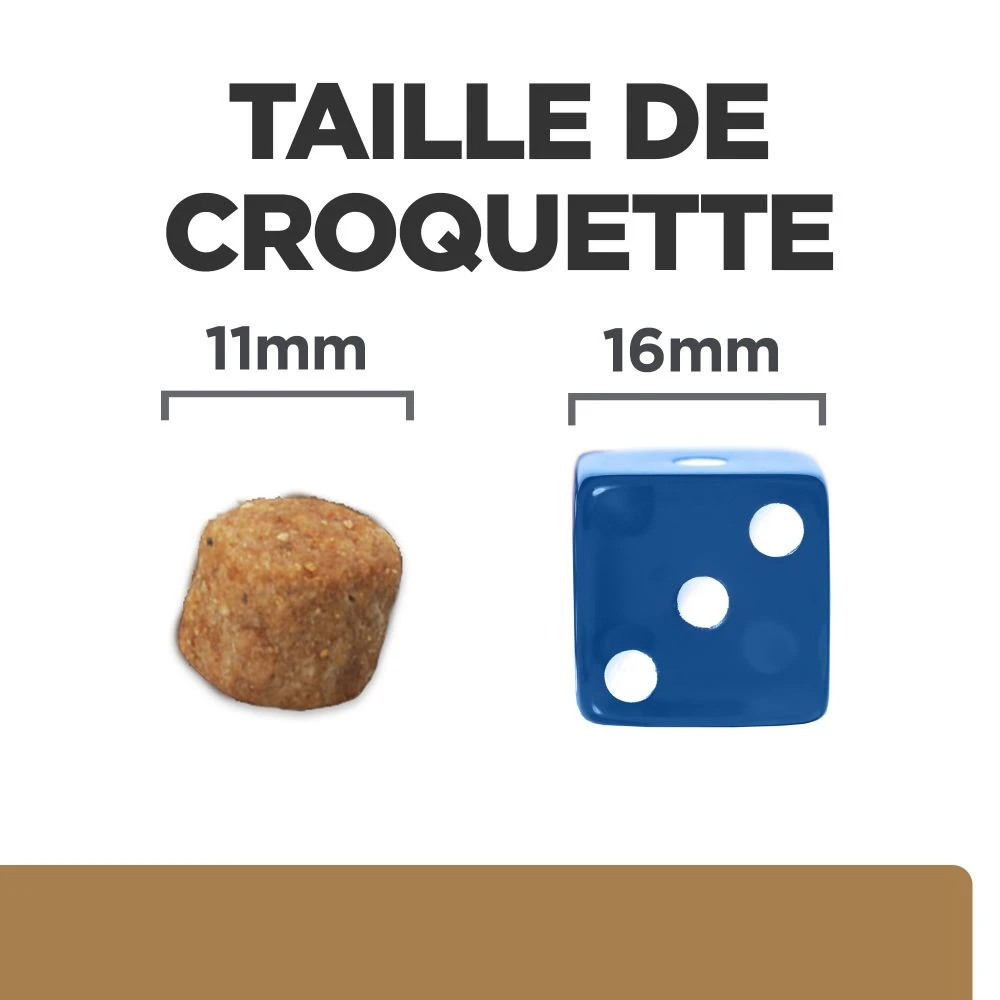 Hill's Prescription Diet J/D Mobility Croquettes Pour Chien Au Poulet – Image 6
