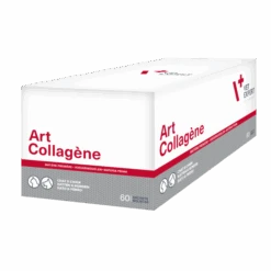 Art-Collagène 60 Sachets
