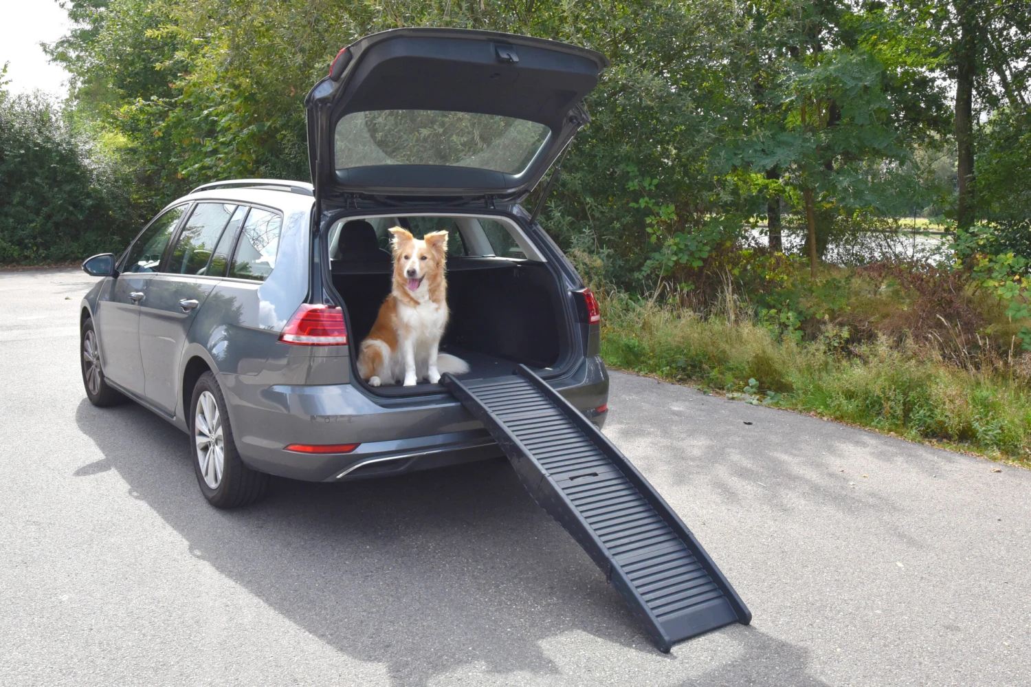 Flamingo Rampe Chien Pliante En Plastique 150x39,5x13 – Image 11