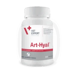 Art-Hyal 90 Comprimés