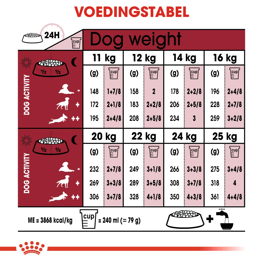 Royal Canin Medium Ageing 10+ Pour Chien 10 X 140g – Image 2