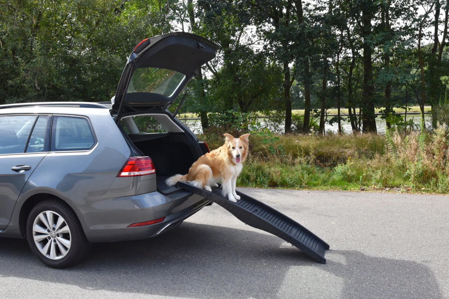 Flamingo Rampe Chien Pliante En Plastique 150x39,5x13 – Image 9