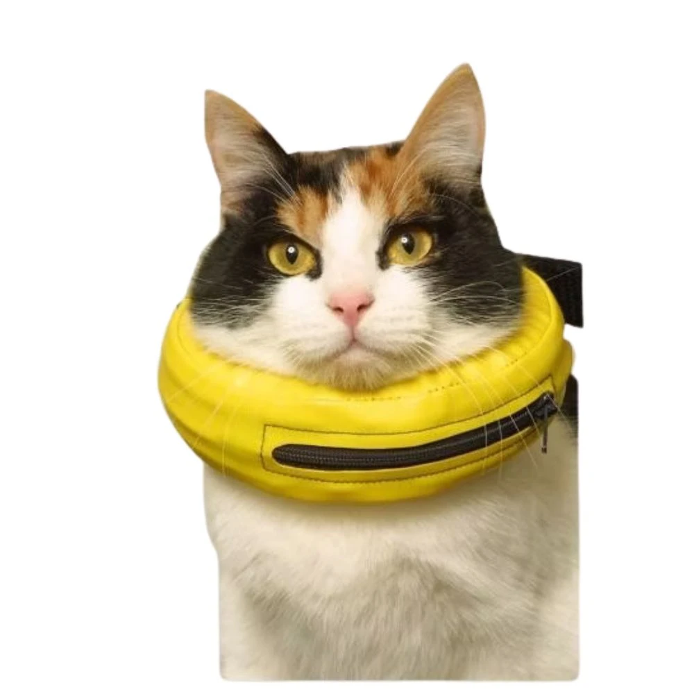 Collier Lune – Image 4