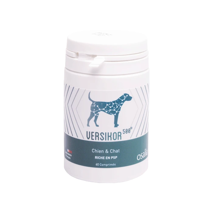 Versikor 500 60 Comprimés