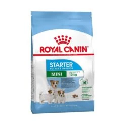 Royal Canin Mini Starter Mother & Babydog - 8Kg