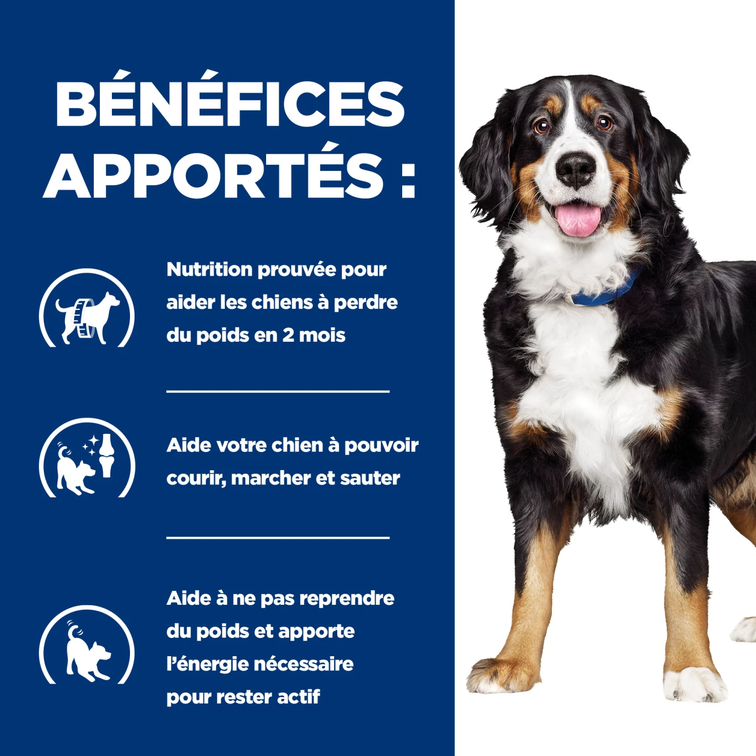 HILL'S PRESCRIPTION DIET METABOLIC + MOBILITY GESTION DU POIDS BOÎTES POUR CHIEN 12X370G – Image 3