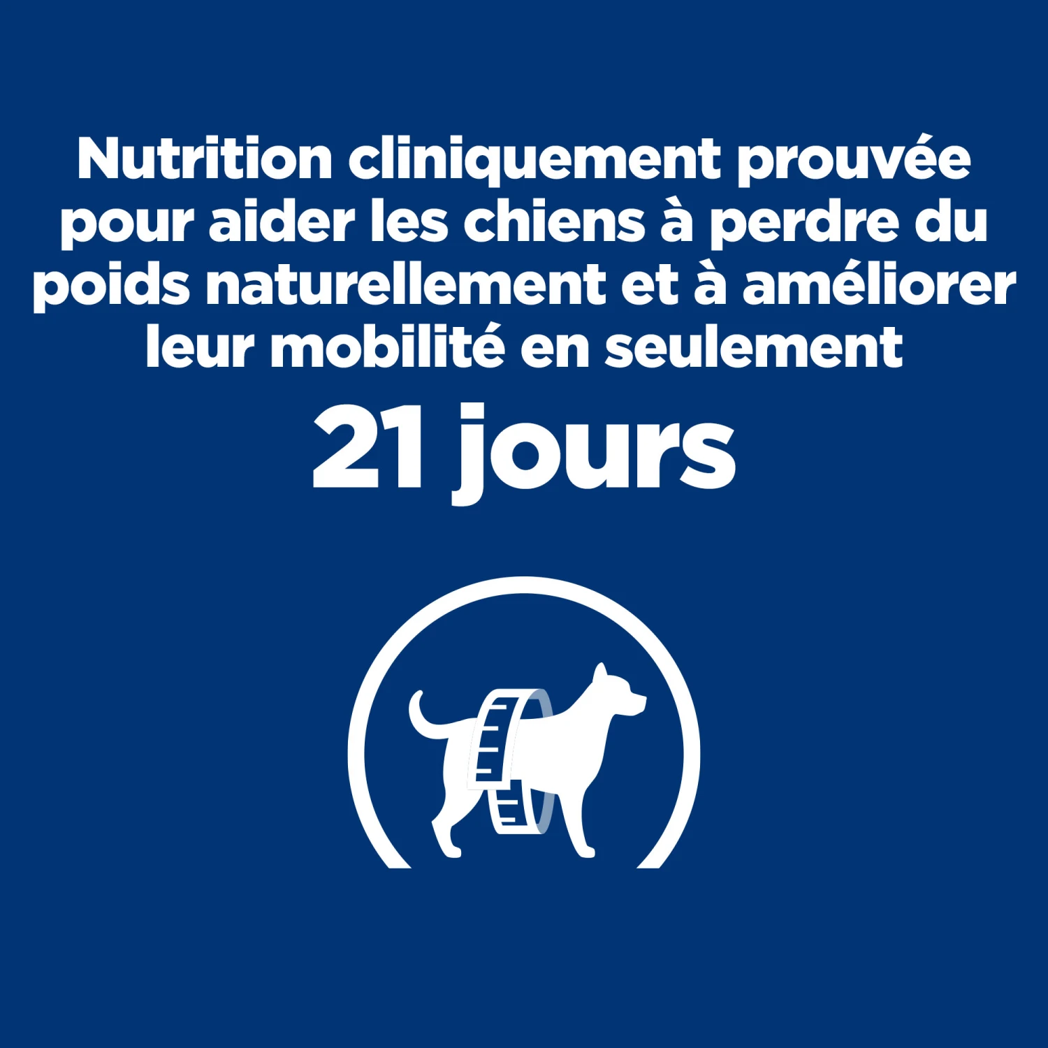HILL'S PRESCRIPTION DIET METABOLIC + MOBILITY GESTION DU POIDS BOÎTES POUR CHIEN 12X370G – Image 4