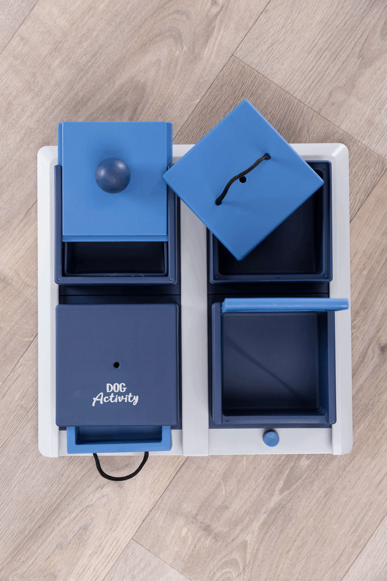 Trixie Jeu De Stratégie Pour Chien Poker Box 1 – Image 6