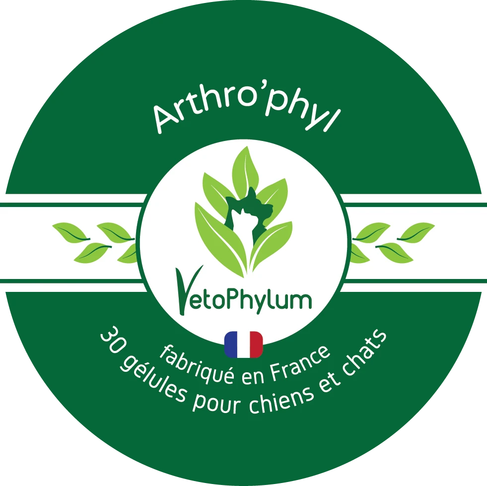 Arthro'Phyl – Image 2