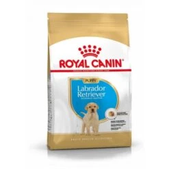 Royal Canin Labrador Retriever Chiot Pour Chien 3kg
