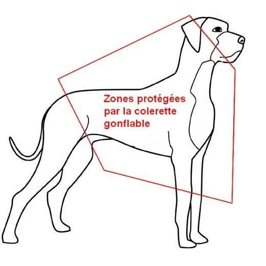 Collier Lune – Image 2