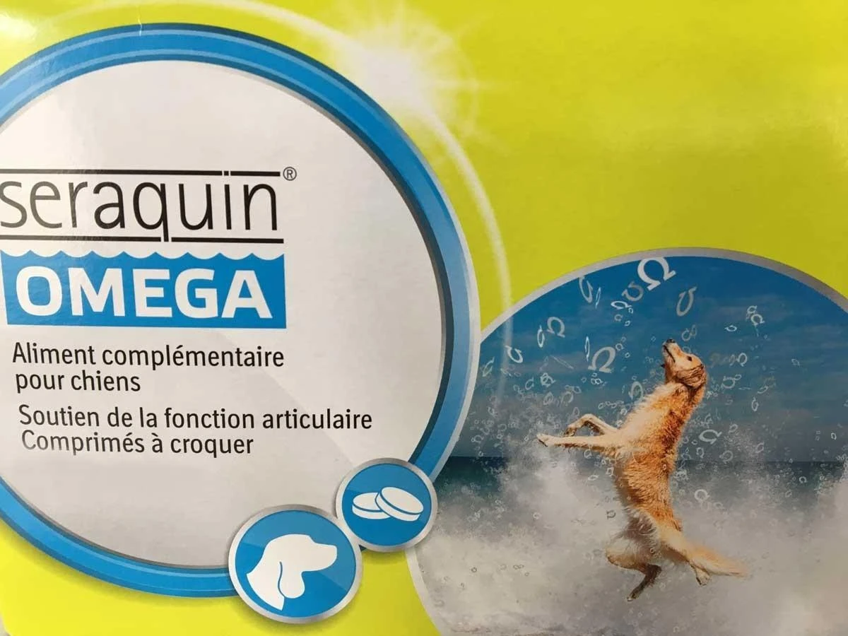 Seraquin Omega Chien – Image 2