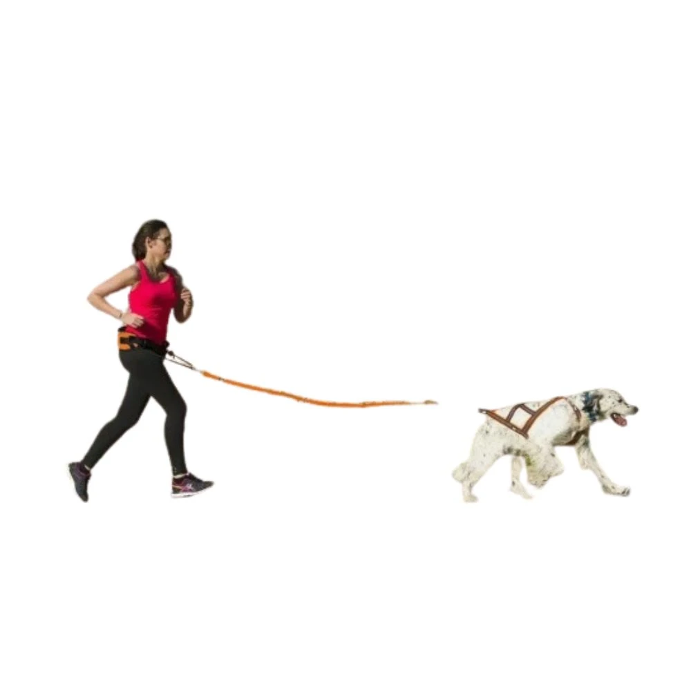 Ceinture Canicross One I-Dog – Image 2