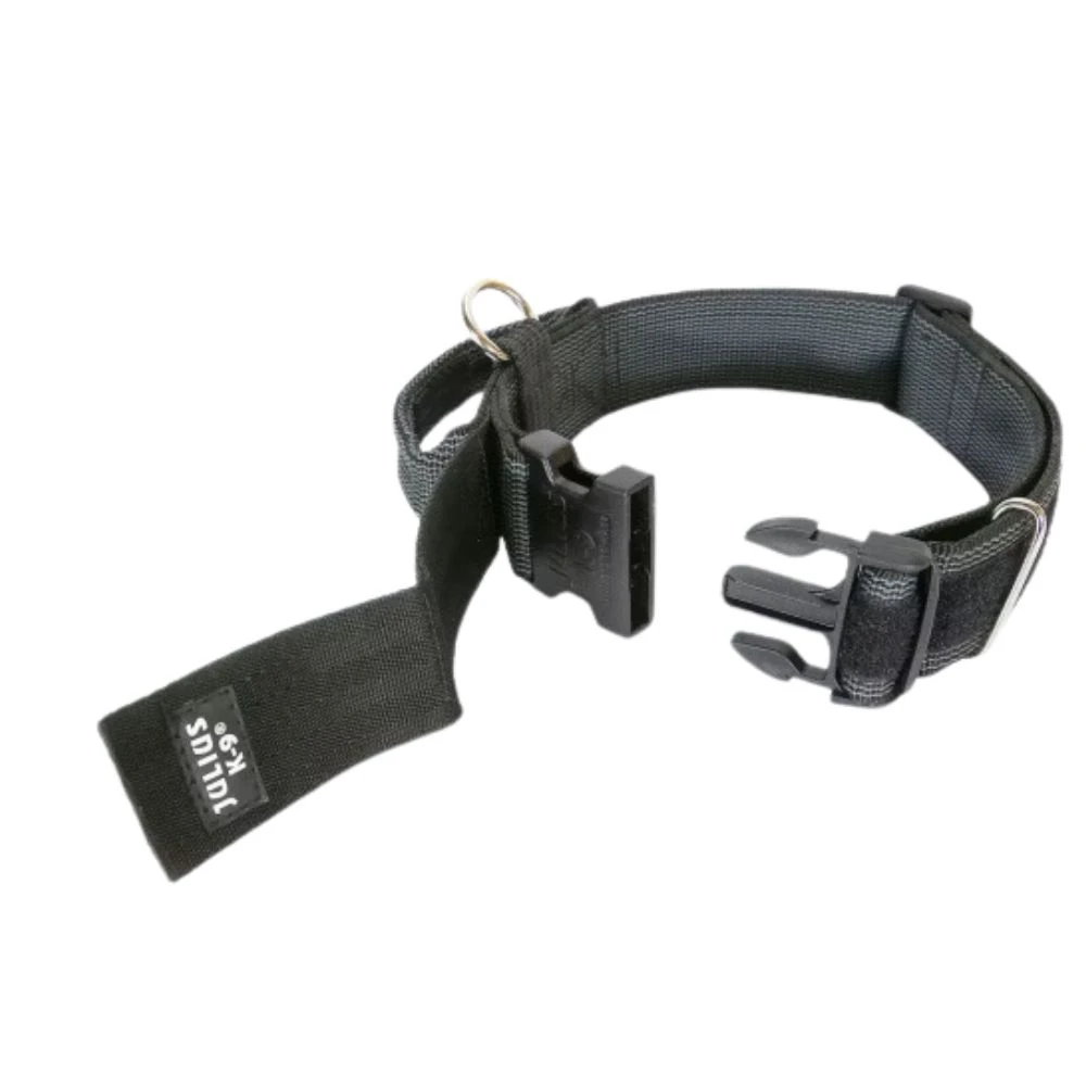 Collier D'intervention Julius K9 – Image 2