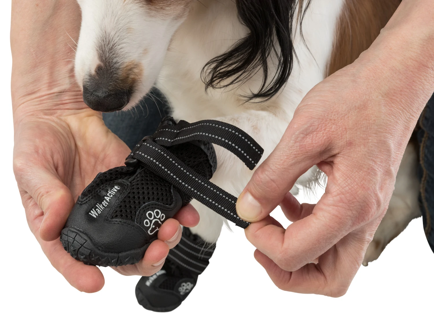 Trixie Chaussures De Protection Walker Active / L-XL 2pcs. – Image 6