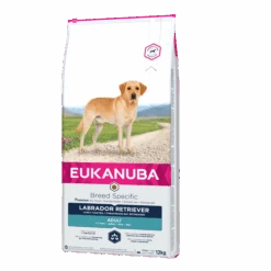 Eukanuba Labrador Retriever Pour Chien 12kg