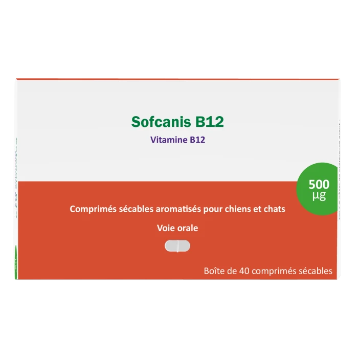 Sofcanis B12 40 Comprimés