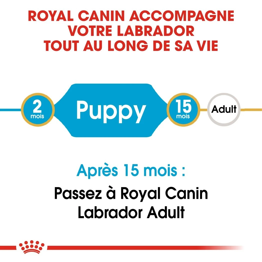 Royal Canin Labrador Retriever Chiot Pour Chien 3kg – Image 4