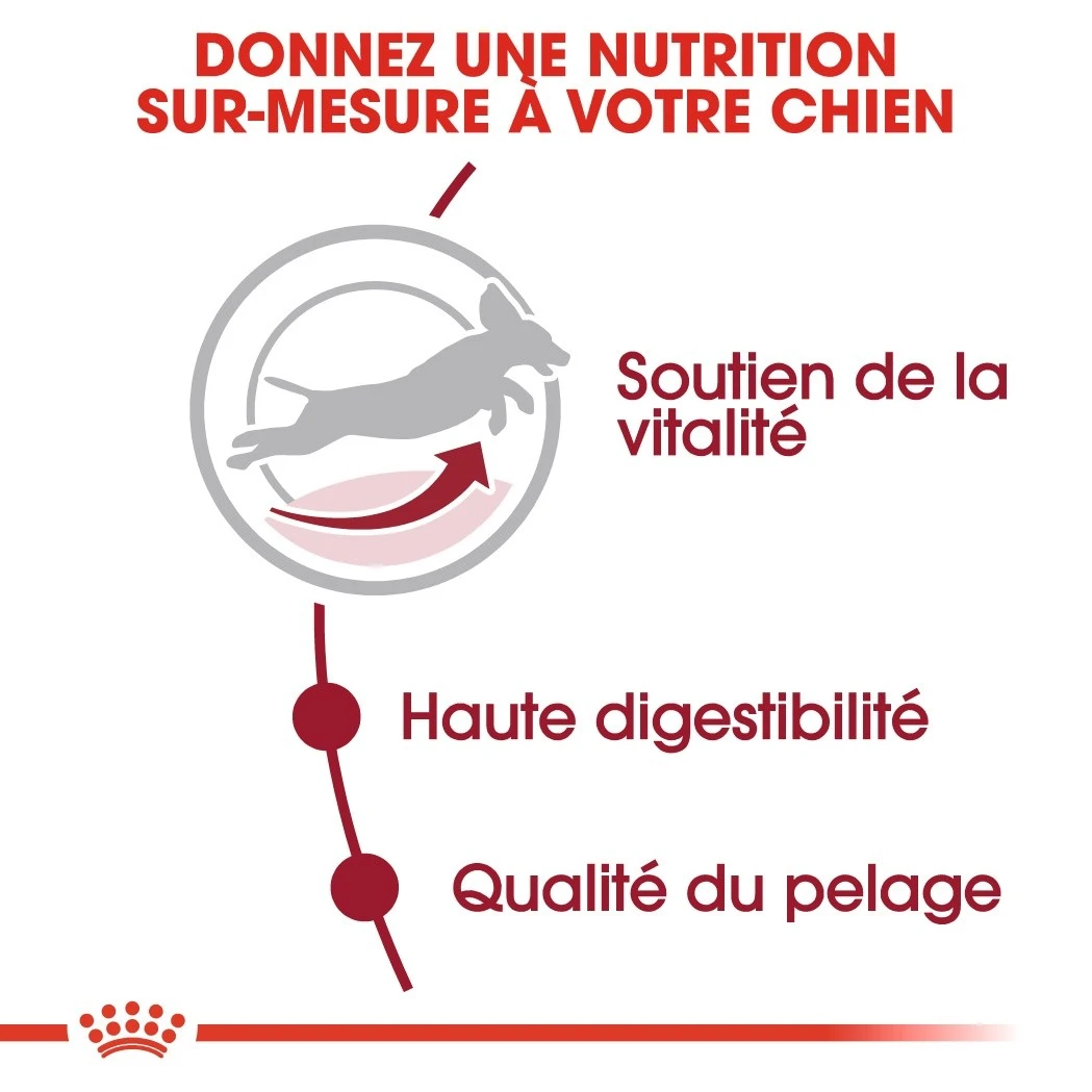 Royal Canin Medium Adult 7+ Pour Chien 15kg – Image 4