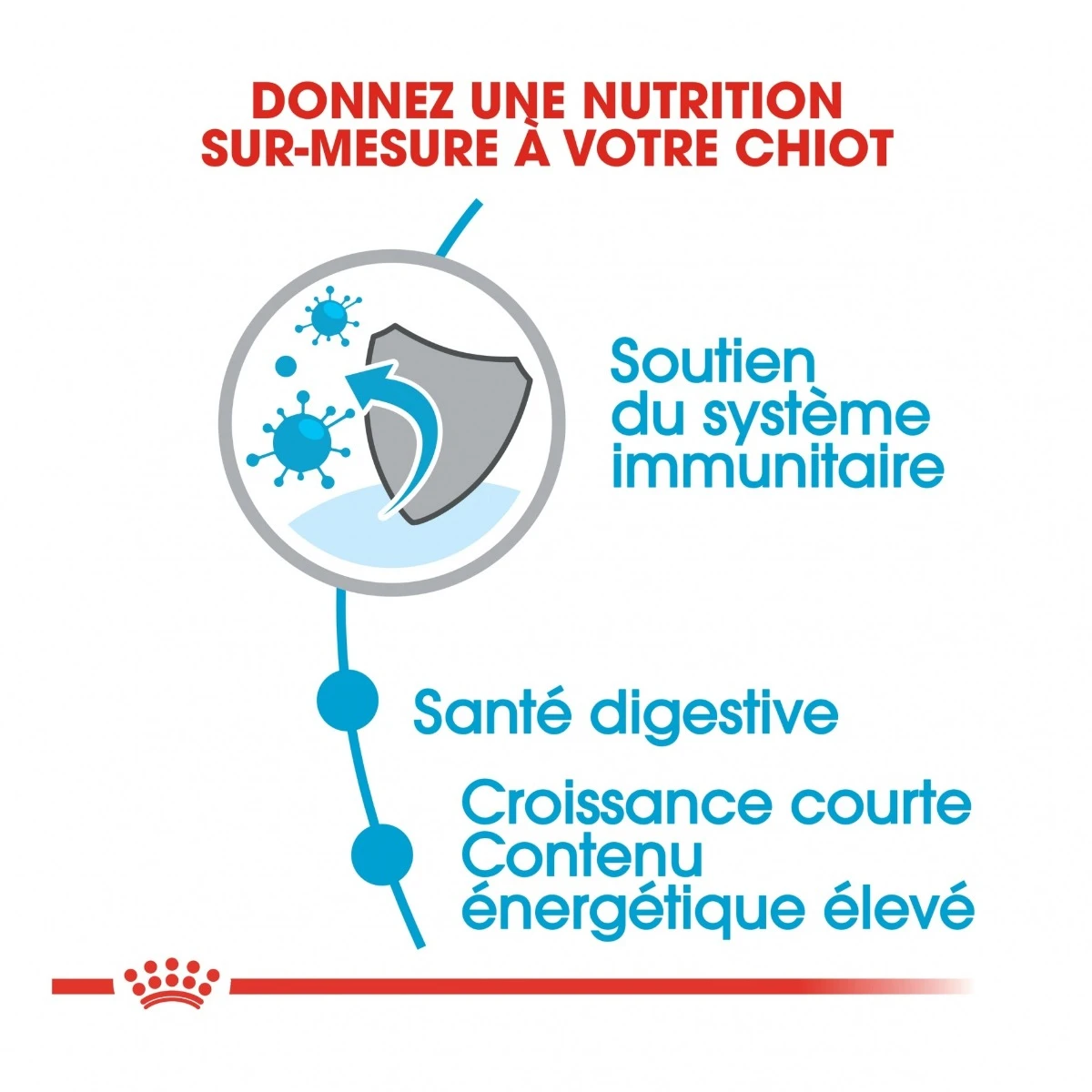 Royal Canin Medium Junior Pour Chien – Image 4