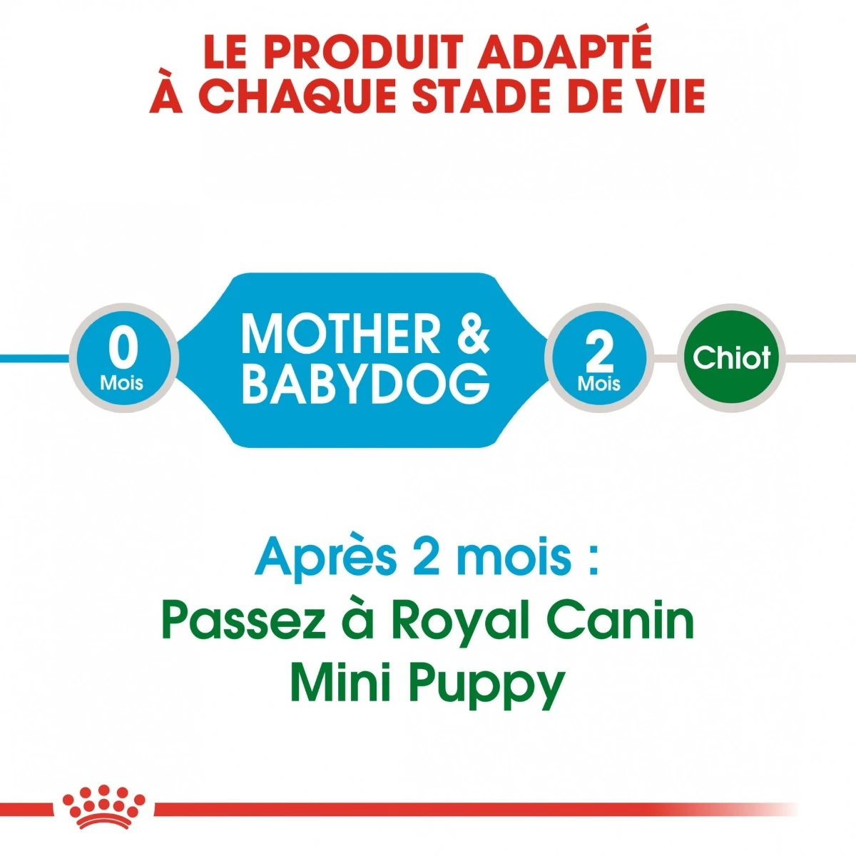 Royal Canin Mini Starter Mother & Babydog - 8Kg – Image 6